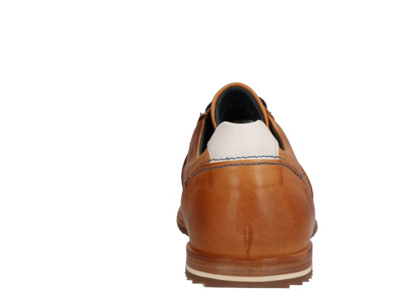 Will Lester 36305 Cognac/donkerbruin