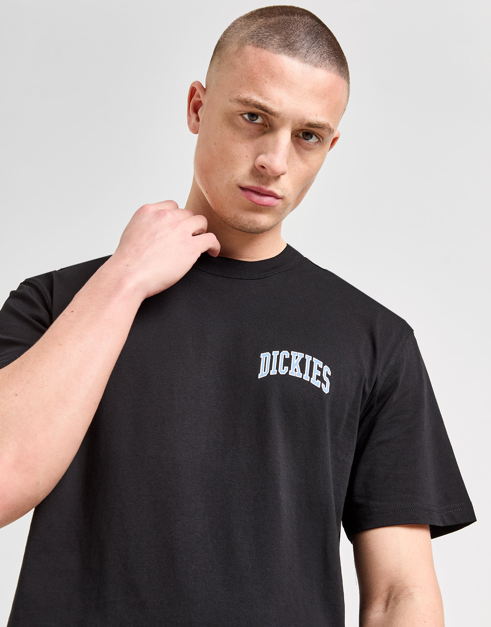 Dickies T-shirt Aitkin Chest Homme