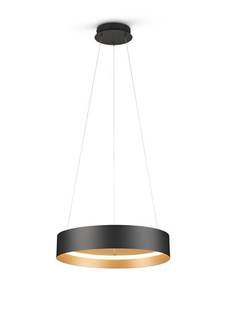 Musterring LED Pendelleuchte 50 cm MR LOOP schwarz-goldfarbig