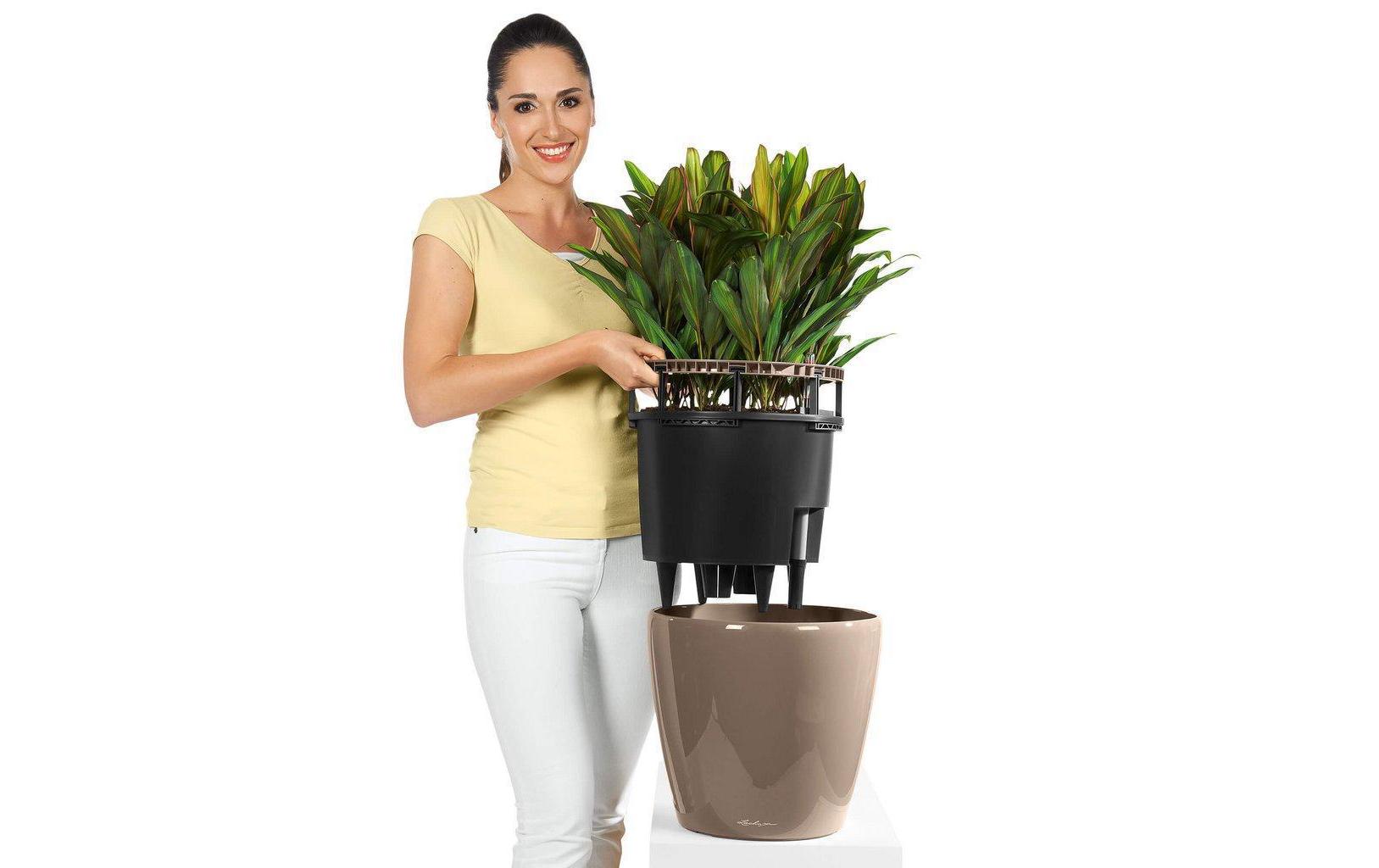 Pflanzentopf Classico Premium 21 LS SchwarzTopf