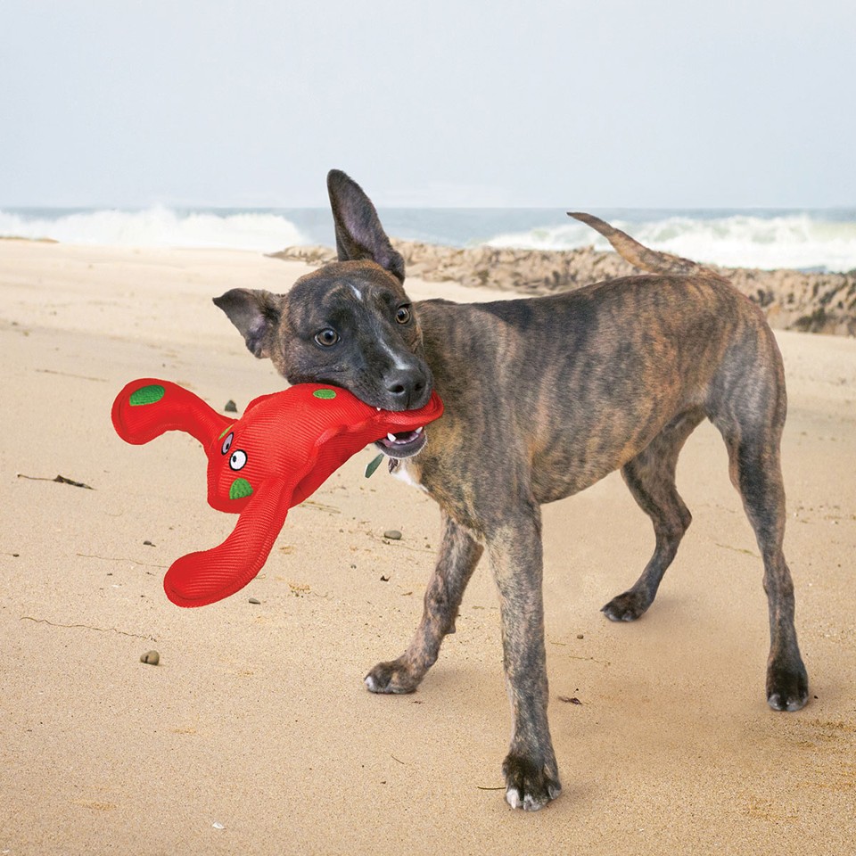 Kong - Belly Flops Hummer M 9 X 21 X 28cm