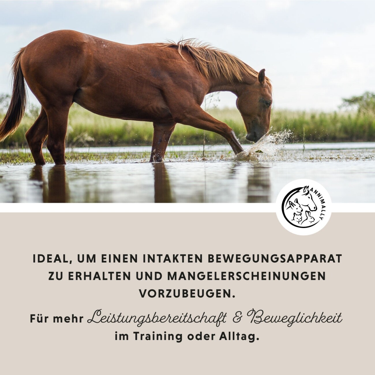 Annimally Bewegungsfreude Sensitiv 850 g
