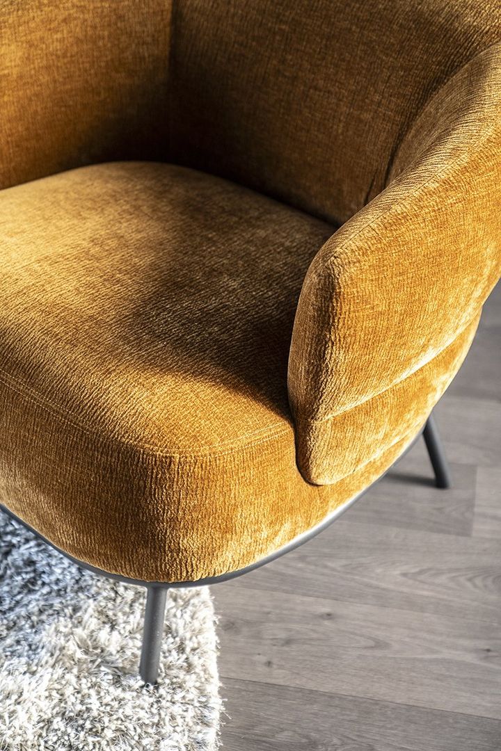 Eleonora   David Fauteuil