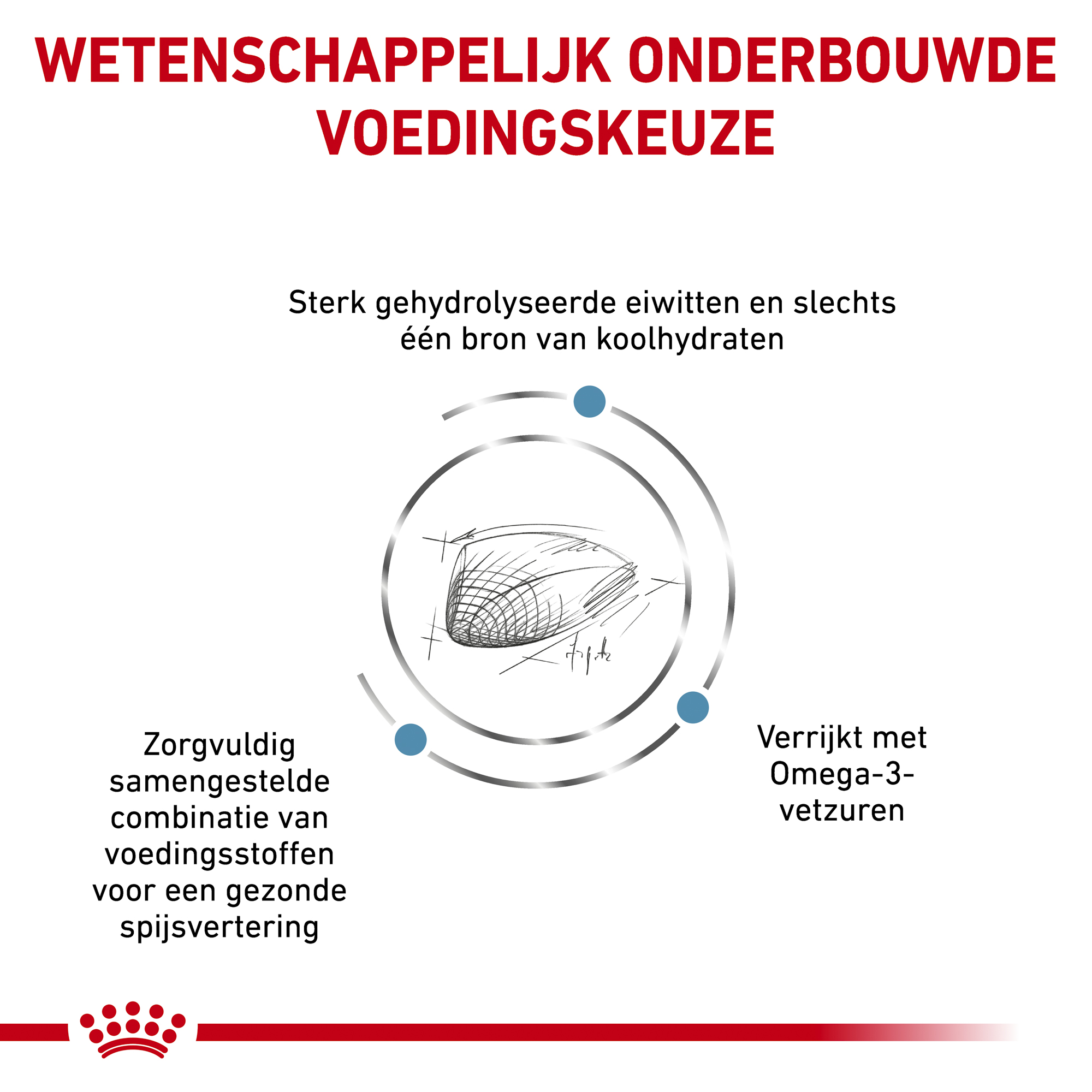 Royal Canin Hypoallergenic Kat