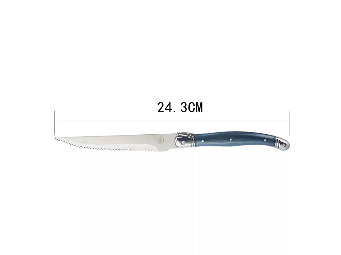 Couteaux de table (avec bloc, lot de 6)