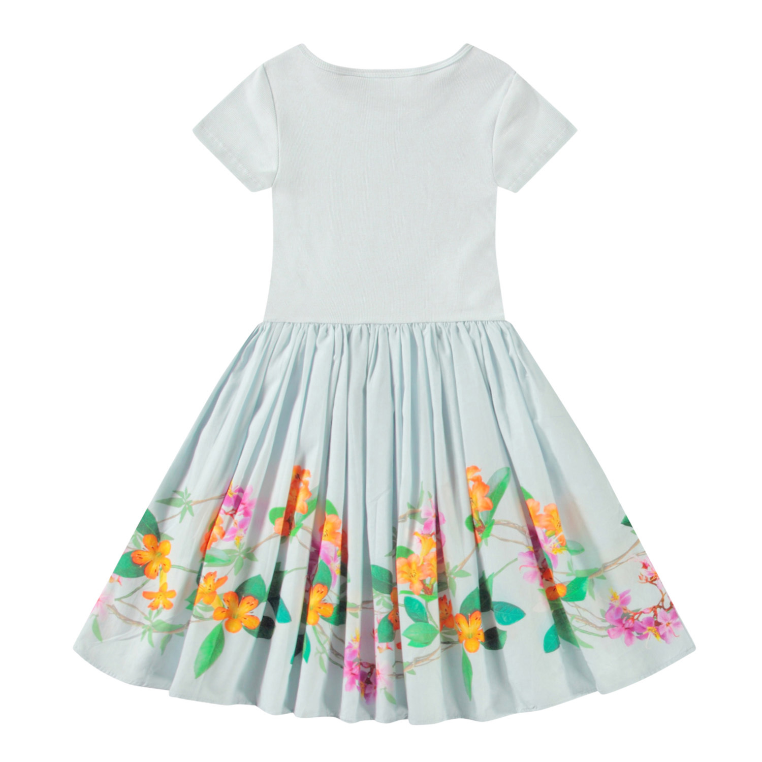 Cissa - Jungle Flowers