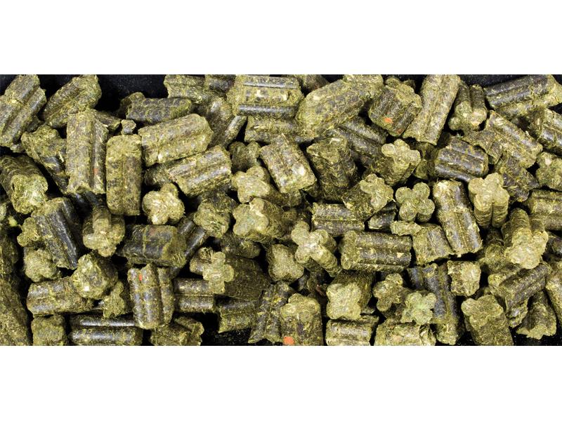 JR Farm Hauptfutter Complete Zwergkaninchen Grainless, 1350 Alleinfuttermittel für Zwergkaninchen