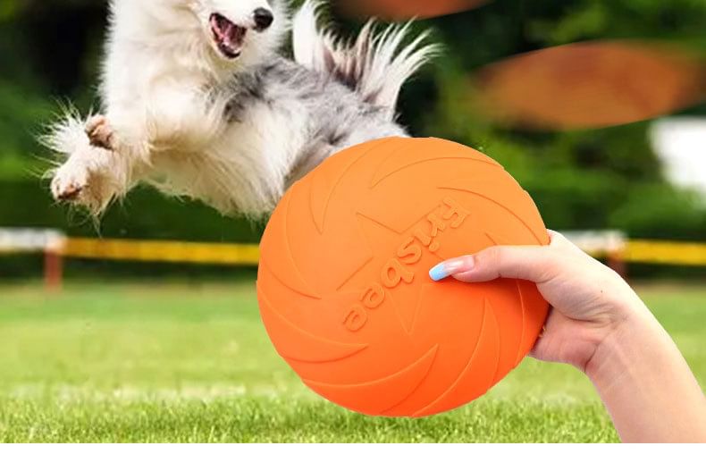 Cissilli - Rubberen Frisbee Huisdier Speelgoed (Verschillende Ontwerpen)