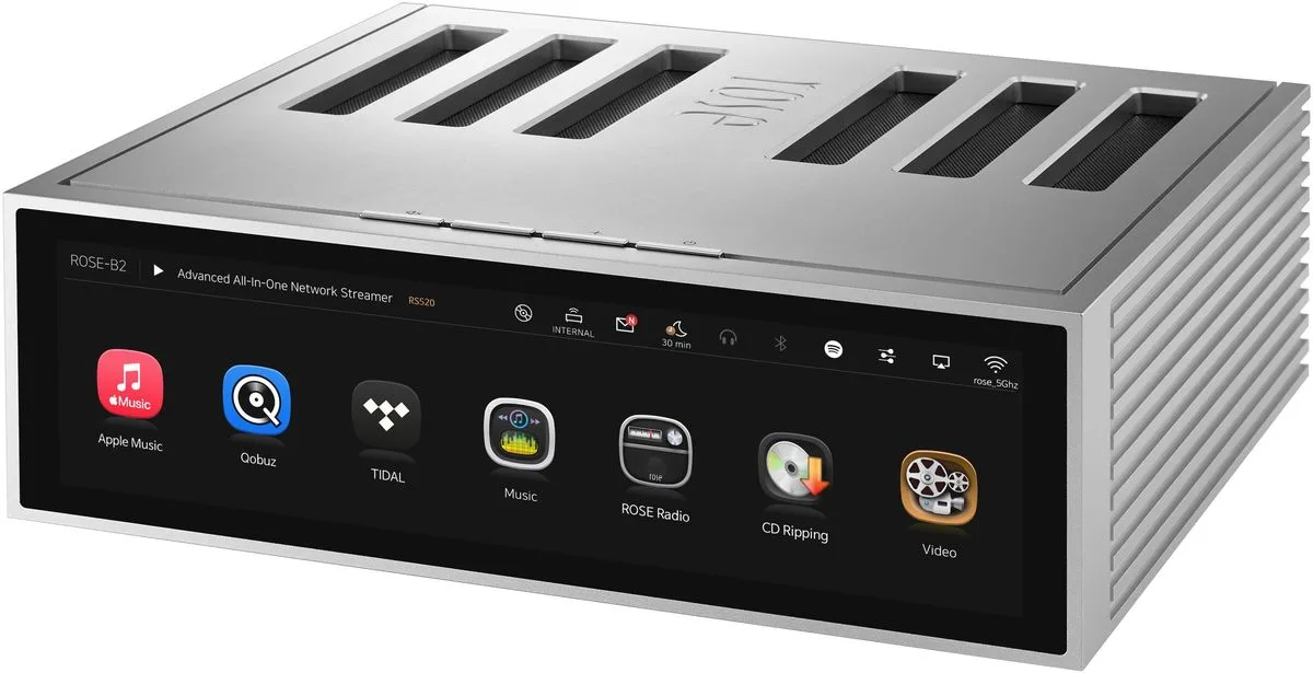 Rose RS520 Silver Amplis hi-fi stéréo