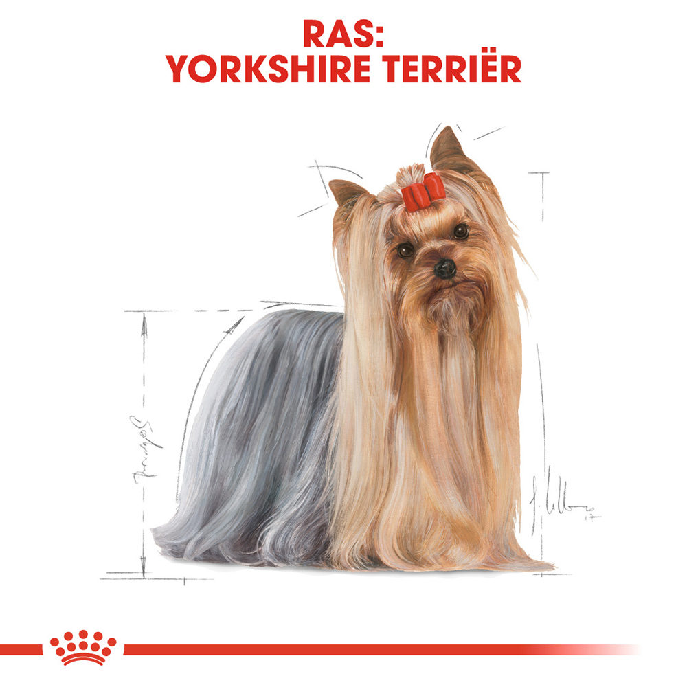 Royal Canin Yorkshire Terrier Adult Wet - Hondenvoer