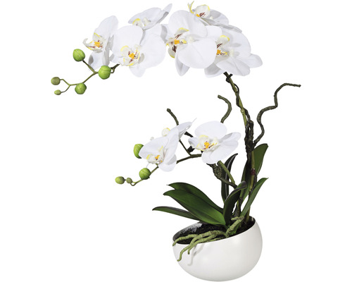 Kunstplant Phalaenopsis, hoogte: 42 cm, wit