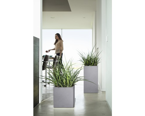 Lechuza Canto Stone plantenbak 40 x 40 x H 40 cm grijs incl. zelfbewateringssysteem, plantenbak, substraat en waterniveau-indicator