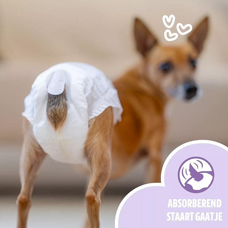 EasyPets Hondenluiers Teef Hond 30 stuks | S/M | 20043.2