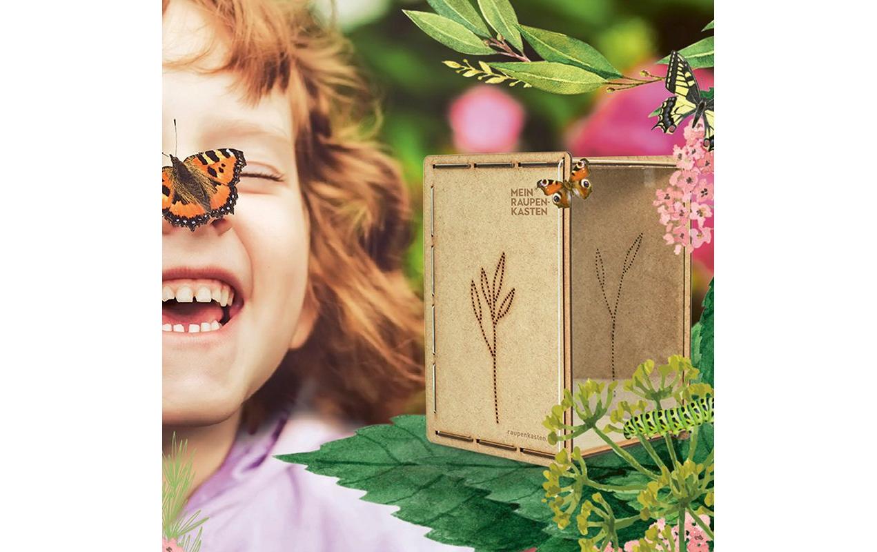 Insektenhotel RaupenkastenAufzucht-Box