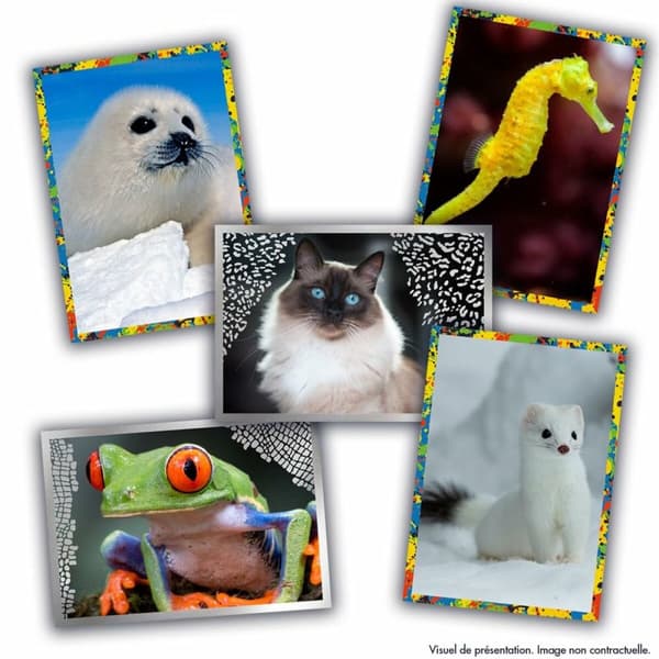 Klistremerkealbum Panini Animaux