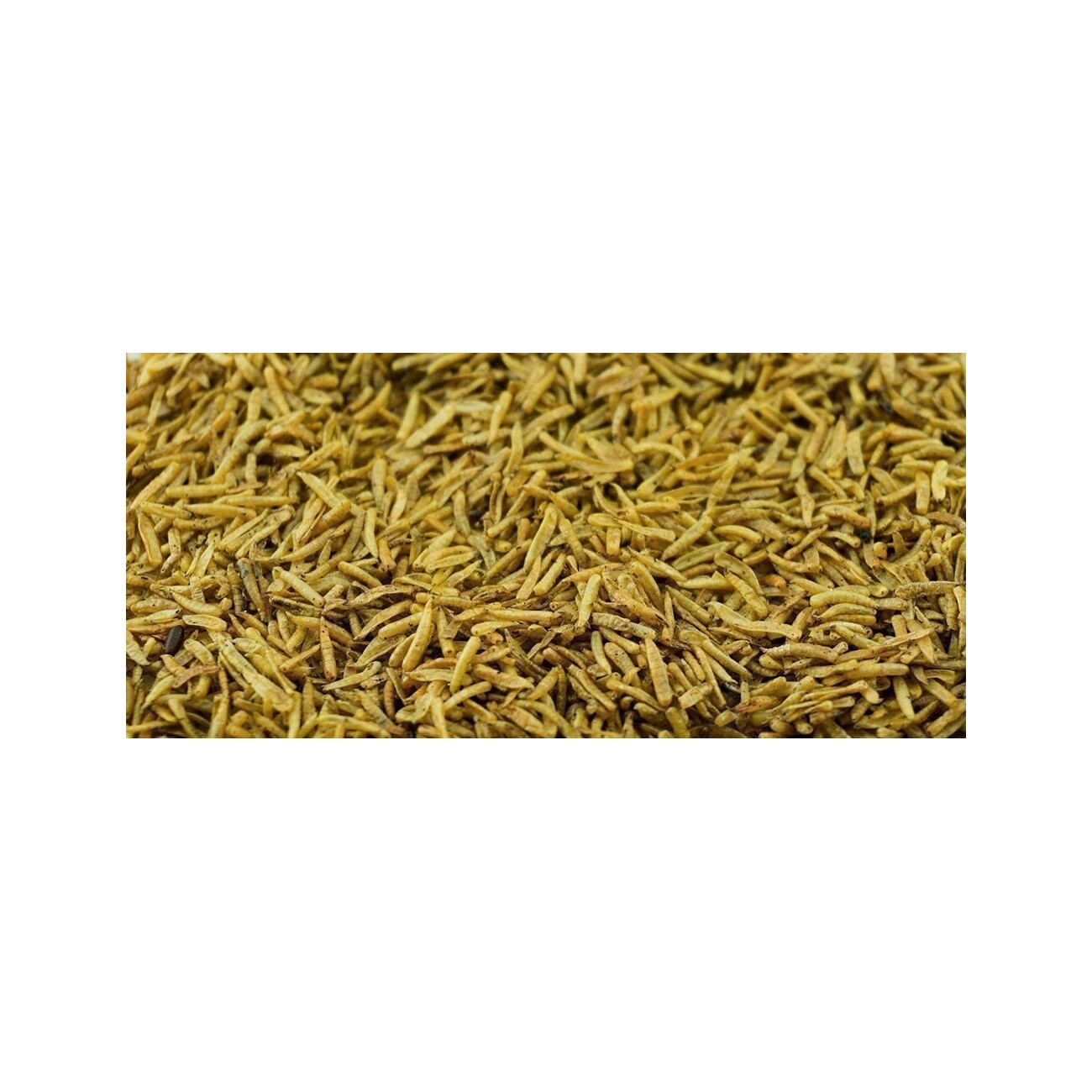Getzoo Maden 25g
