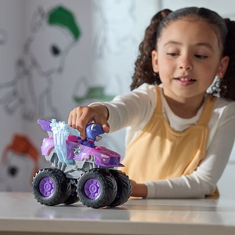 Paw patrol feature vehicle - Roxi