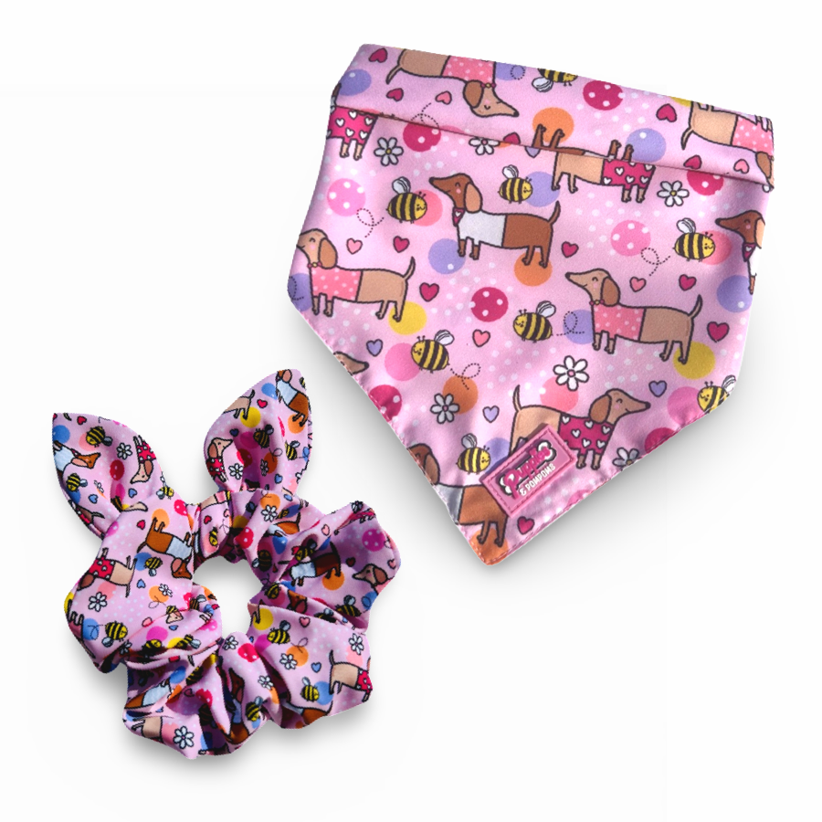 Conjunto de bandana e elástico de cabelo - Bee Happy Dachshunds