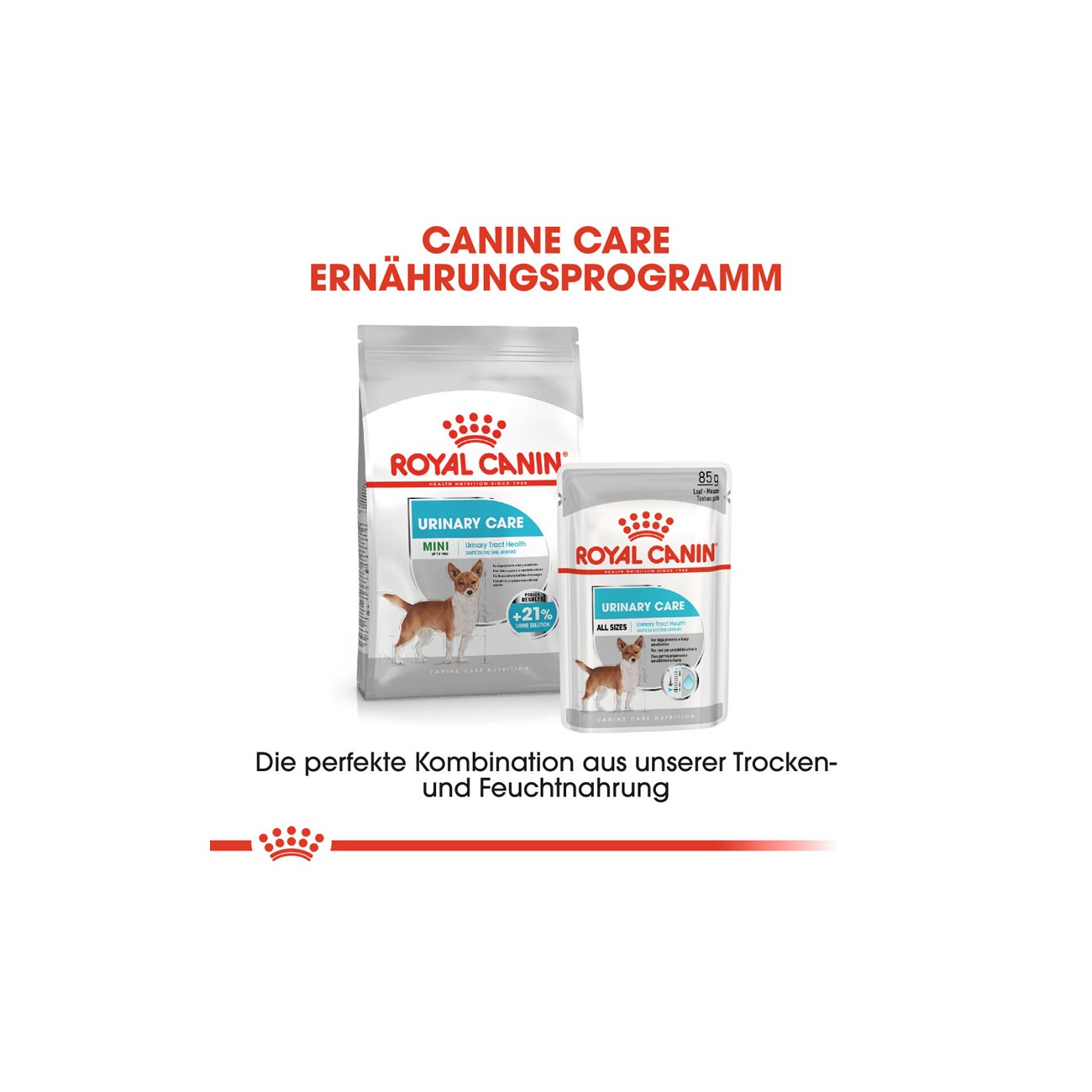 ROYAL CANIN Urinary Care Adult Mousse 12x85 g