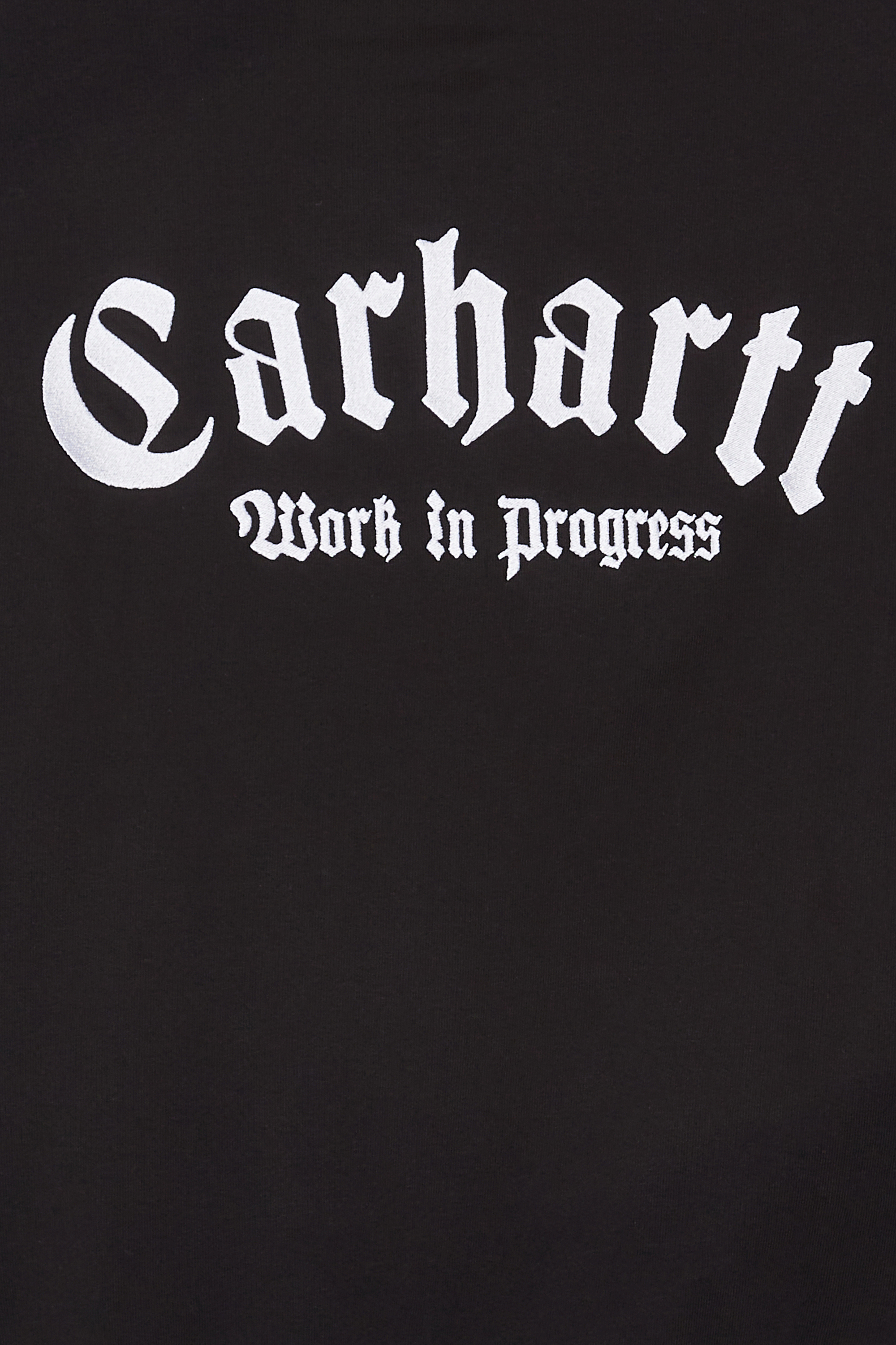 CARHARTT WIP Hoodie Hooded Onyx Script Sweat Multicolore