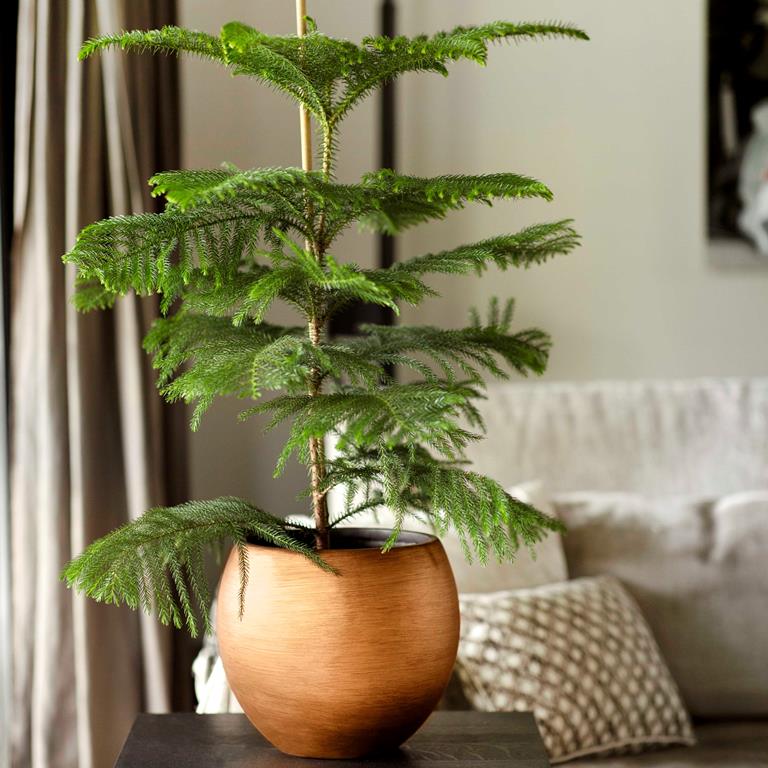 Capi Europe Groove Bloempot Ã 29 cm