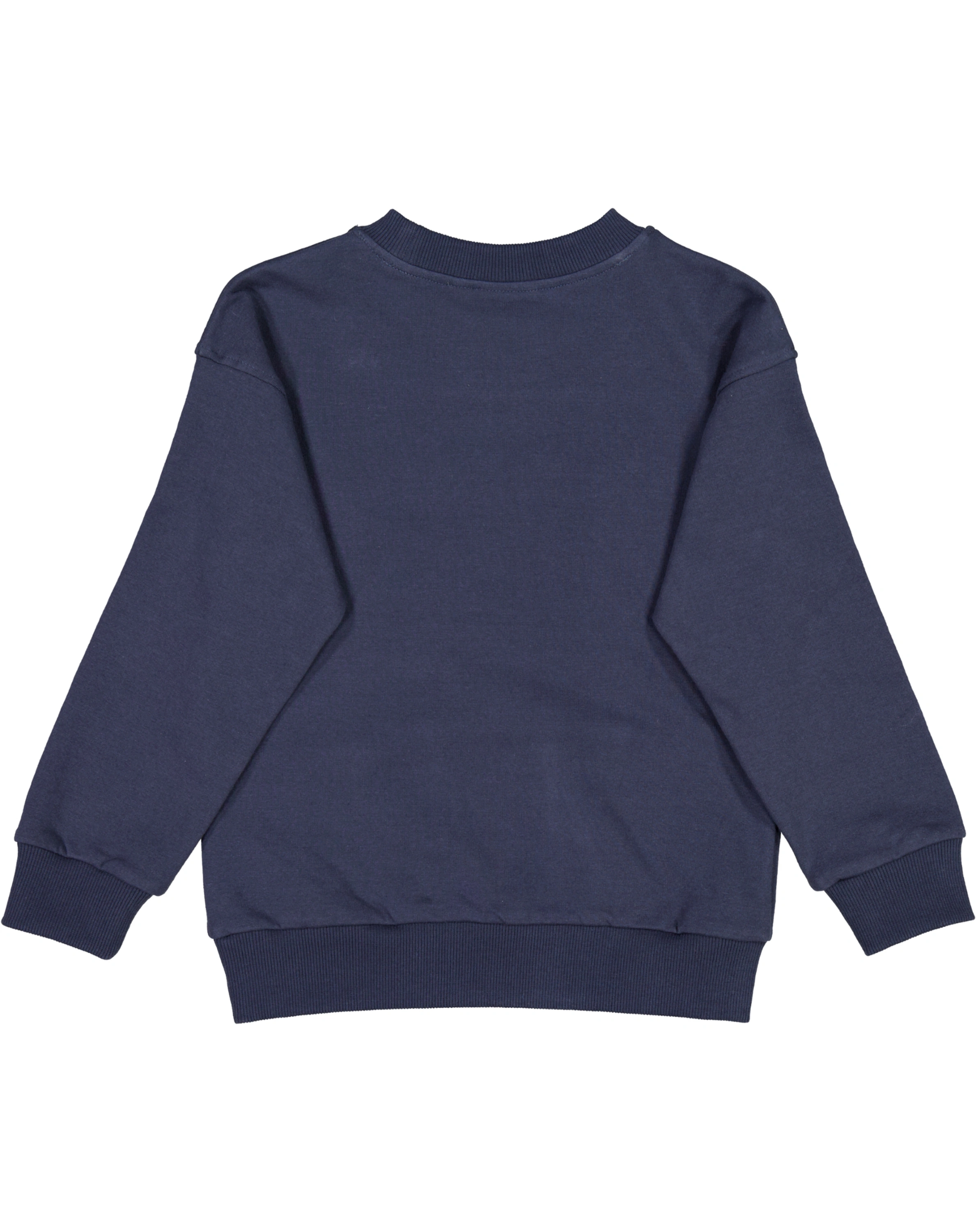 Sweatshirt WALLY in sea storm