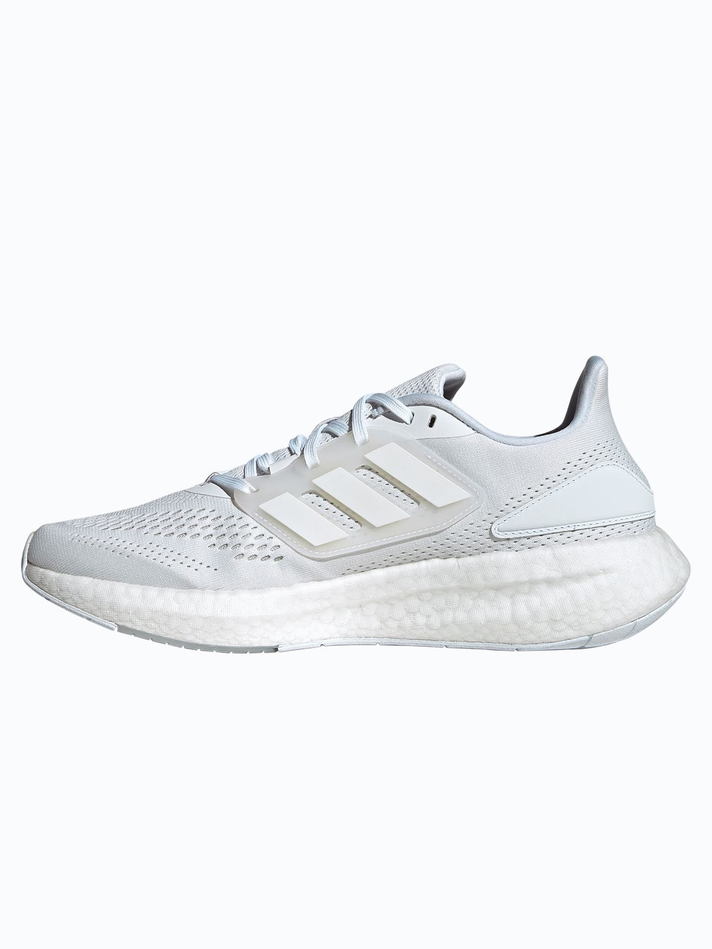Pureboost 22