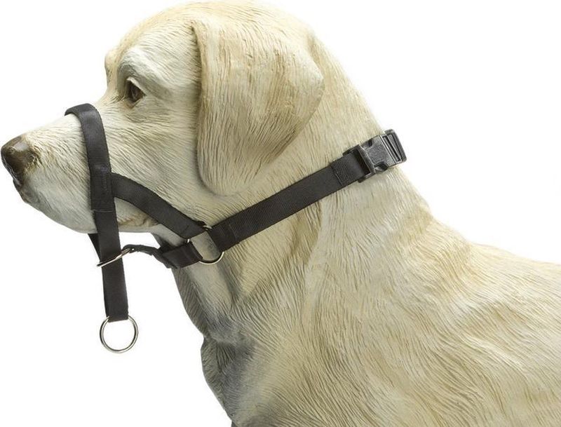 Beeztees Dog Control - Halsband Hond - Zwart - M - Snuitomtrek 32 cm