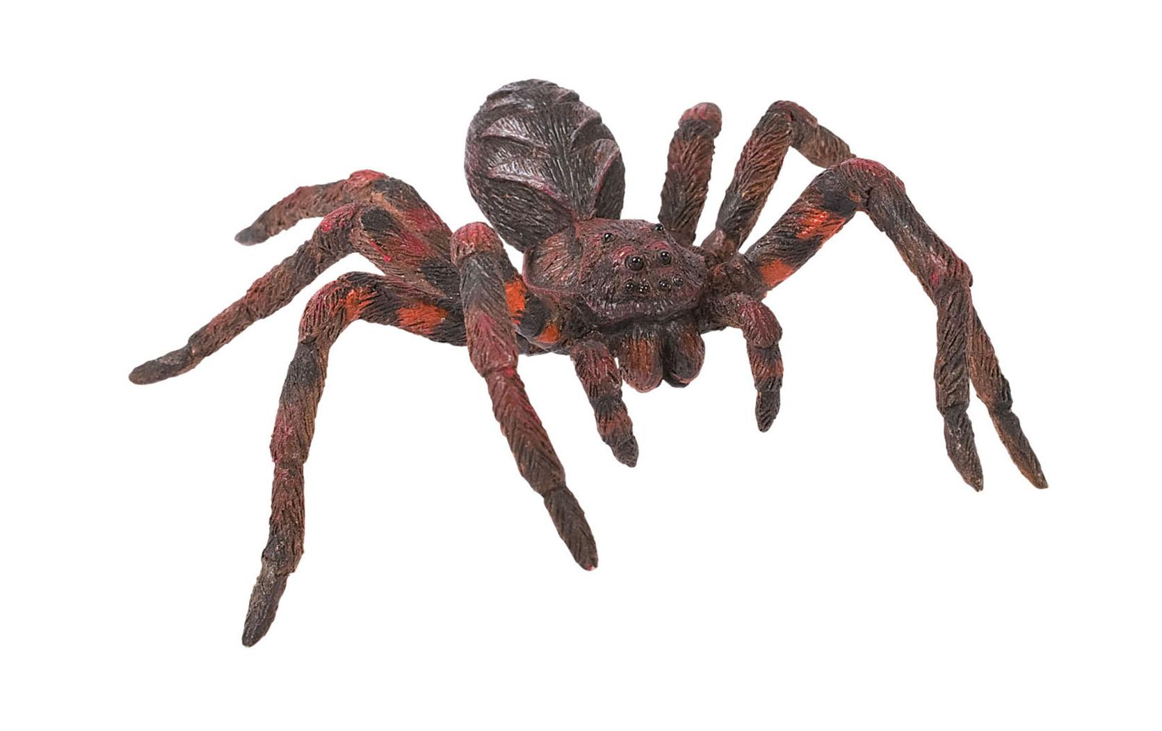 WolfsspinneSpinnen Spielzeugfigur
