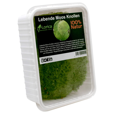 Lorica Lebende Moos Knollen 1 Liter