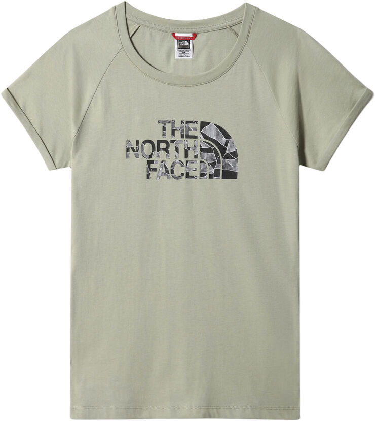 The North Face Odles Logo T Shirt Grå