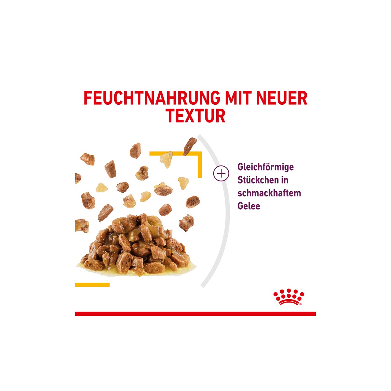 ROYAL CANIN SENSORY Taste in Gelee für wählerische Katzen 12x85g