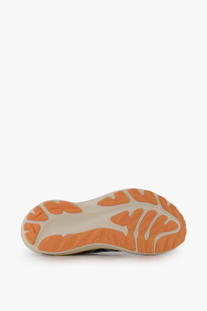 ASICS GT-2000™ 12 TR Herren Trailrunningschuh