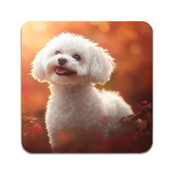 2 ST Hunde Bichon Frise Coaster