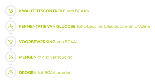 Vitakruid Elite Post Workout Vrouw Bcaa 4:1:1 & Elektrolyten (325 gr)
