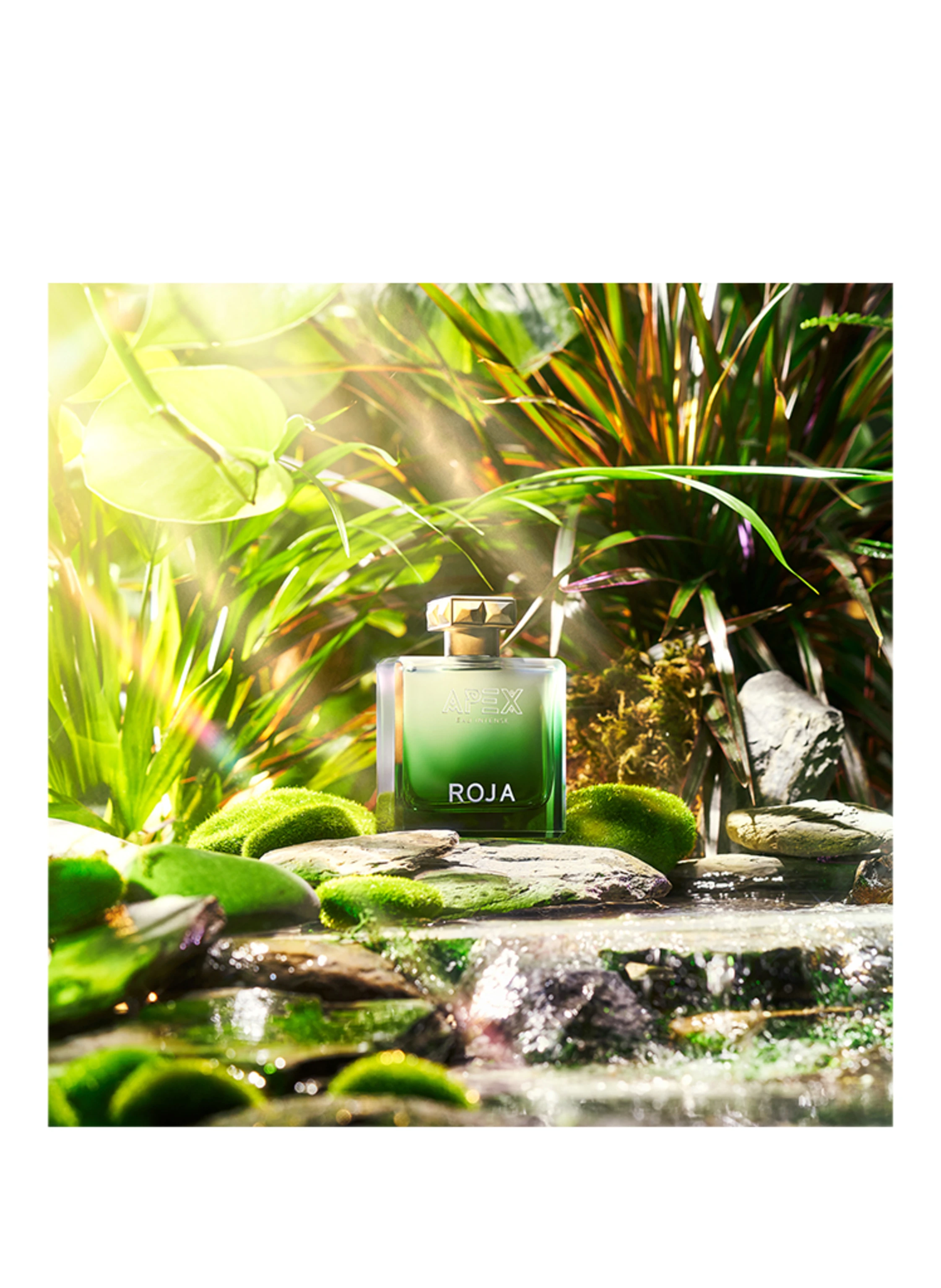 ROJA PARFUMS APEX