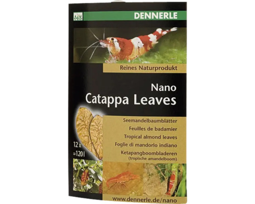 Indiase amandelbladeren DENNERLE Nano Catappa Bladeren 12 stuks