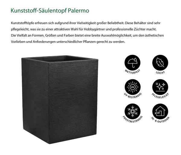 Dehner Kunststoff-Säulentopf Palermo,