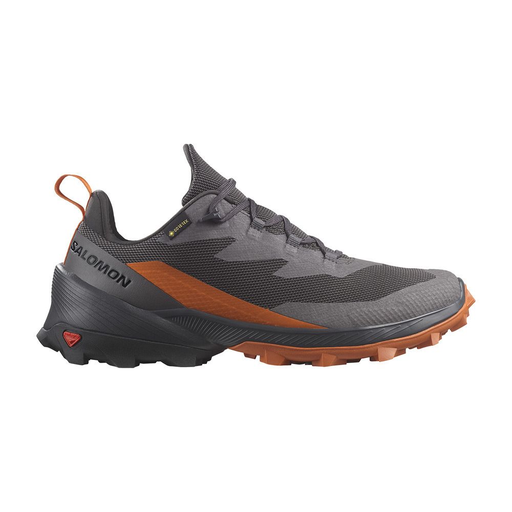 Salomon CROSS OVER 2 GTX - Chaussures randonné Homme magnet/phantom/spice route