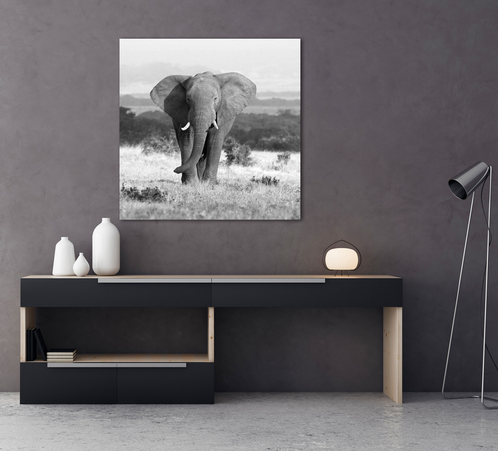 Akustikbild ELEFANT 80x80cm, 5kg