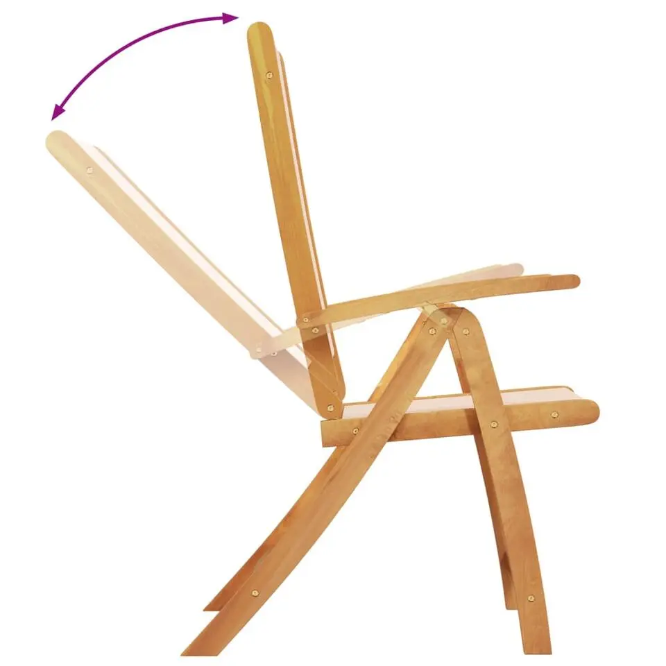 vidaXL - Inklapbare tuinstoelen - Bruin - Acaciahout - 2 stuks