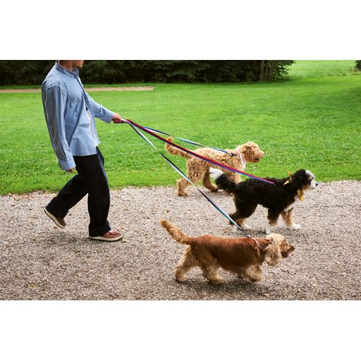 HAY Dog Flat Hundesnor, Blue/Off White