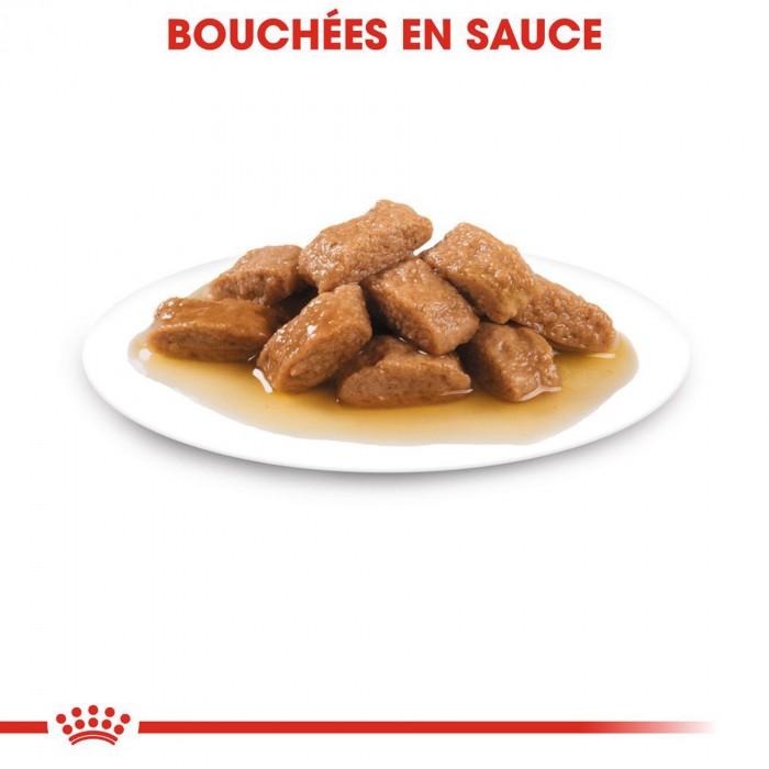 ROYAL CANIN Medium Adult en Sauce - Pâtée pour chien