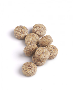 Biotics Cytozyme-LV Tabletten 60TB