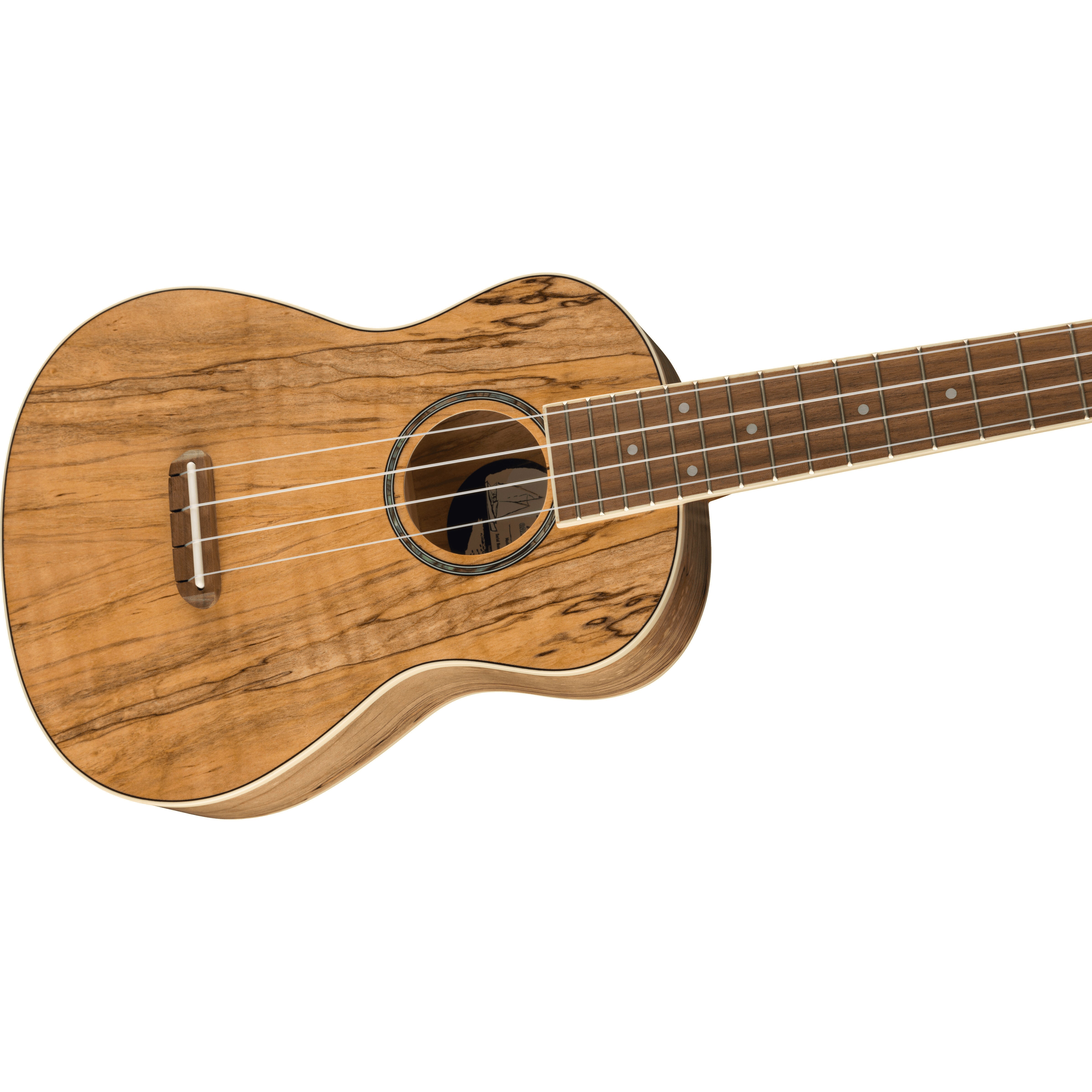 Fender California Coast Zuma Exotic concert ukelele spalted maple