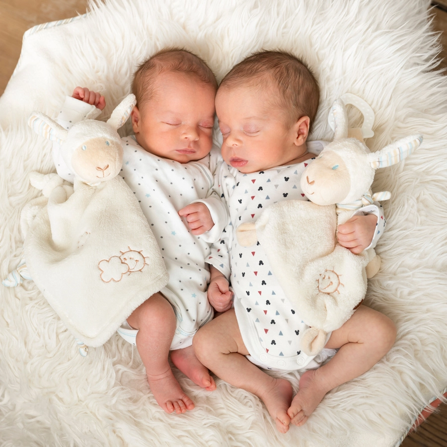 fehn® Schmusetuch Baby Love Schaf Paul mit Softbeißer