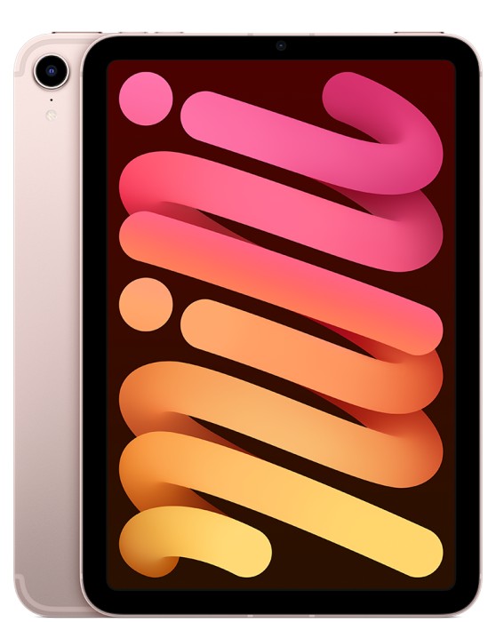 iPad mini 6 (2021) | 8.3
