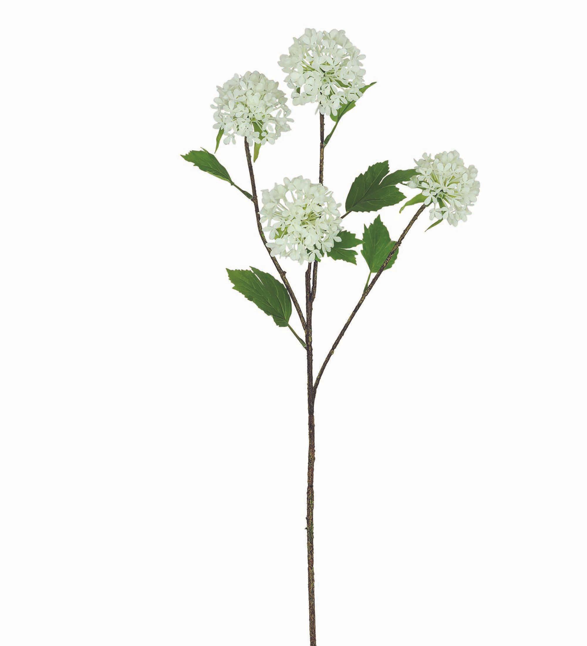 TIGE POMPONS 4 FLEURS H.75CM BLANC