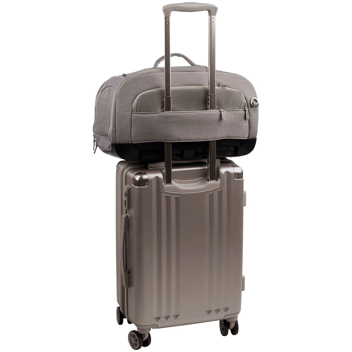 Tavo PetsTavo Pets   Dupree II Transporttasche merle