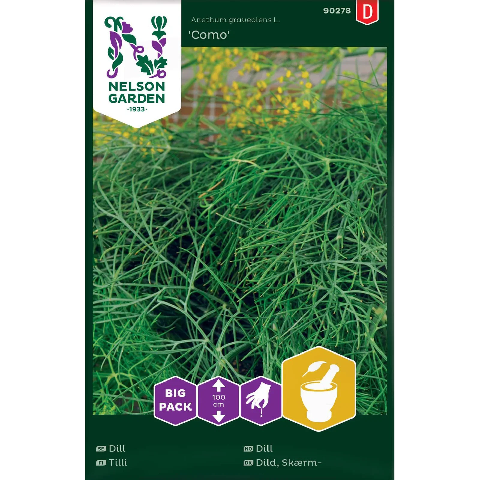 Anethum graveolens 'Como' Dill 'Como'